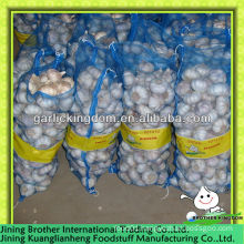 5.5cm normal white garlic